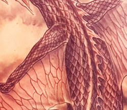 001   DRACHEN   GALERIE START Tattoo Studio Hamburg   SkinworXX